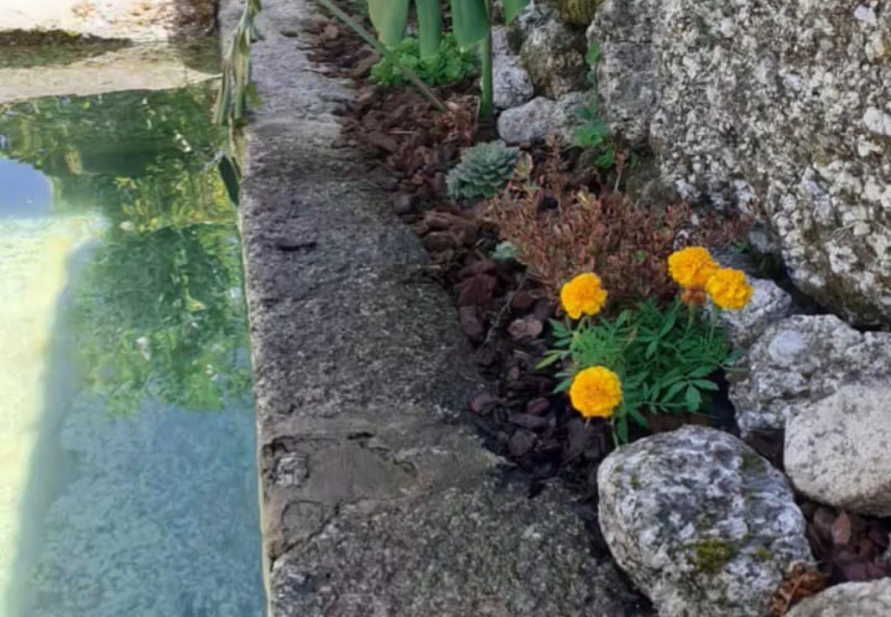 Cottage in Gerês - Villa Dos Santos - Country House