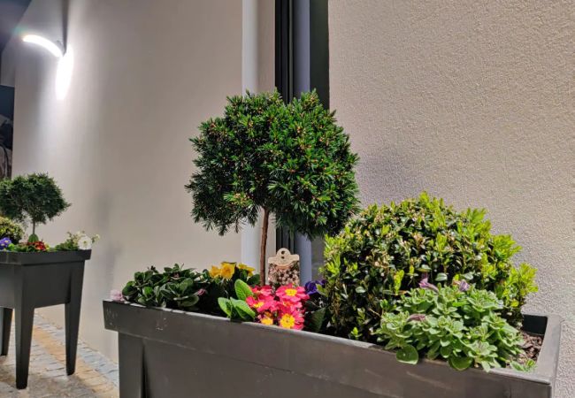 House in Terras de Bouro - Lamegos Guesthouse II House in Terras de Bouro - Lamegos Guesthouse II