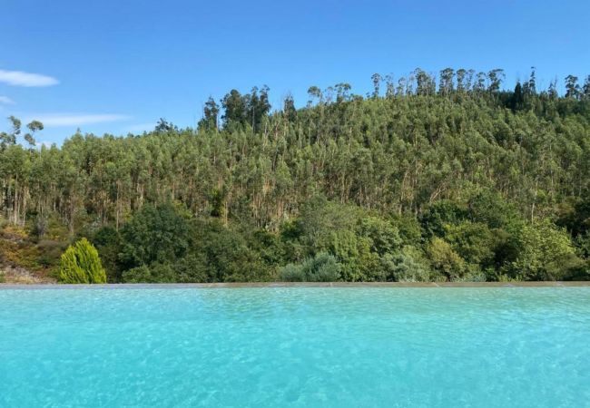 Swimming Pool Nature Mountain View