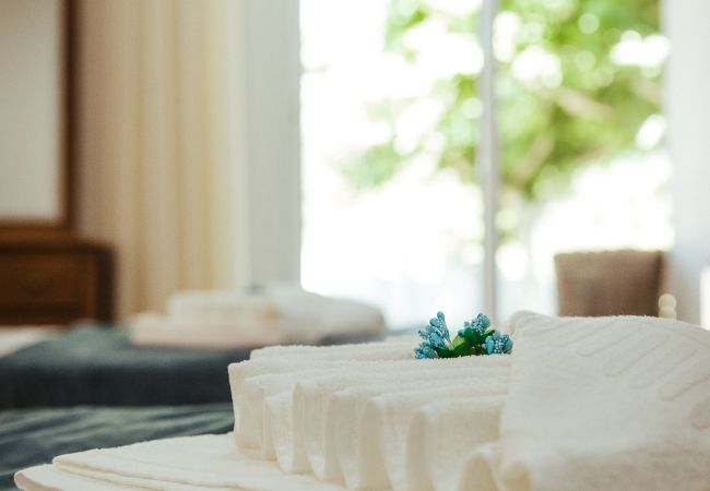 House in Vila Verde - Quinta da Ponte House in Vila Verde - Quinta da Ponte