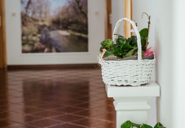 House in Vila Verde - Quinta da Ponte House in Vila Verde - Quinta da Ponte