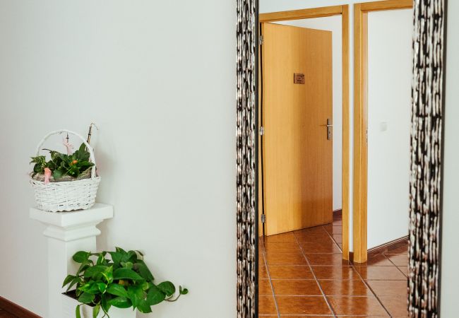 House in Vila Verde - Quinta da Ponte House in Vila Verde - Quinta da Ponte