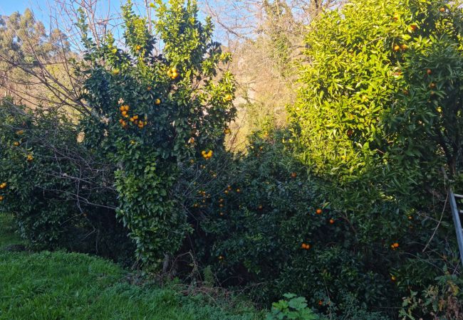 House in Gerês - Abadia House - Gerês House in Gerês - Abadia House - Gerês