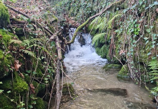 House in Gerês - Abadia House - Gerês House in Gerês - Abadia House - Gerês