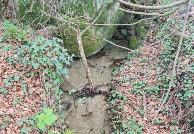 House in Gerês - Abadia House - Gerês House in Gerês - Abadia House - Gerês