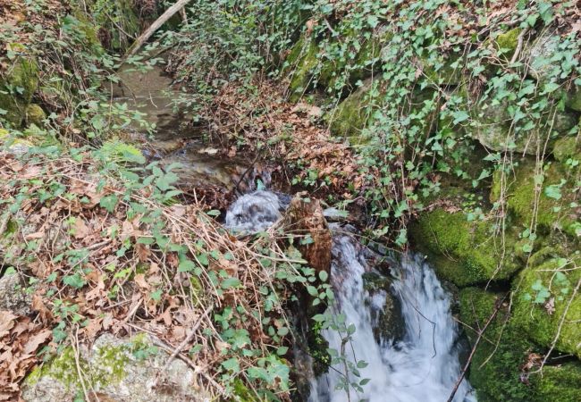 House in Gerês - Abadia House - Gerês House in Gerês - Abadia House - Gerês