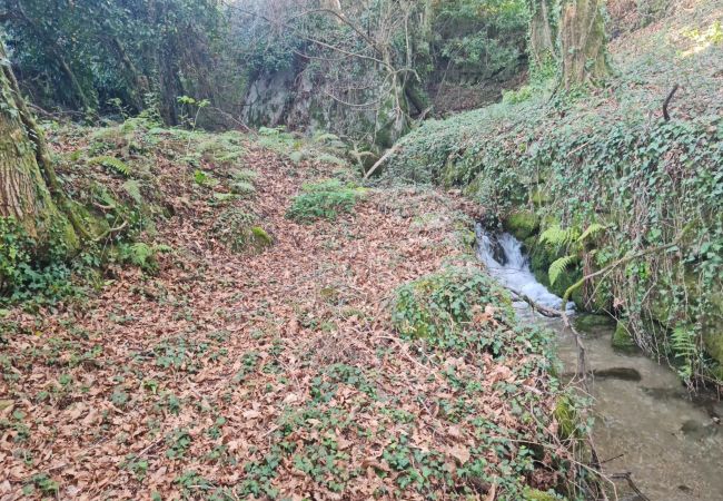 House in Gerês - Abadia House - Gerês House in Gerês - Abadia House - Gerês