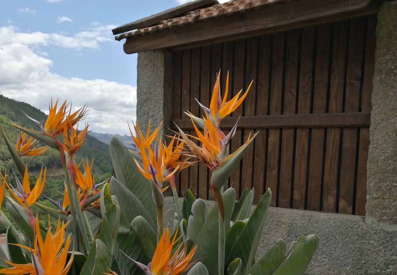 Cottage in Gerês - Tea House Gerês Hipericão