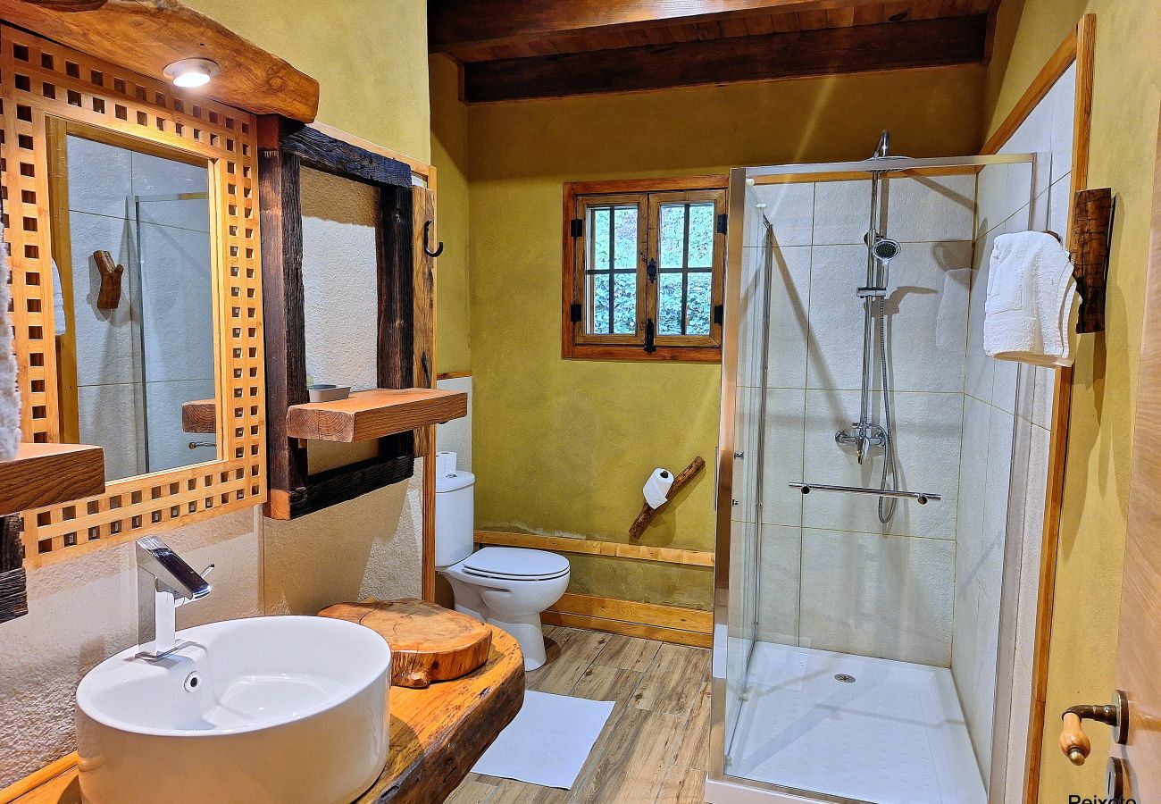 House in Caldelas - Casa das Devesas