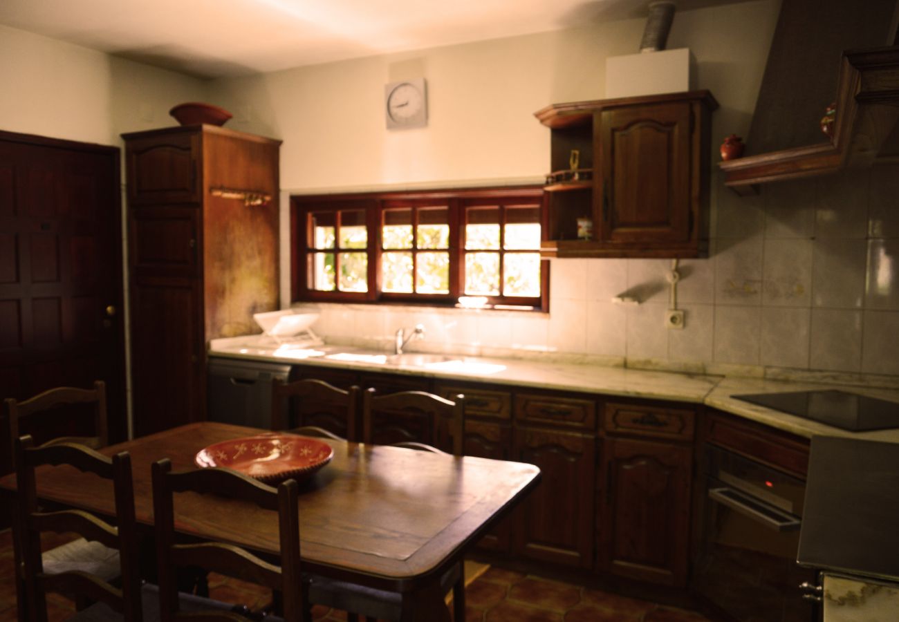 Maison à Campo do Gerês - Casa Montanha Gerês I