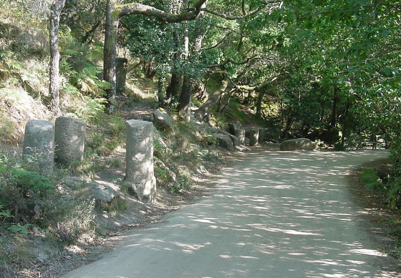 Maison à Campo do Gerês - Casa Montanha Gerês I
