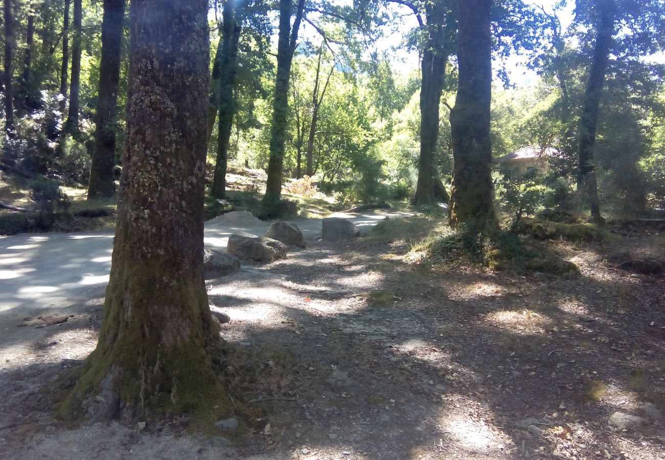 Gîte Rural à Gerês - Casa das Cerejeiras