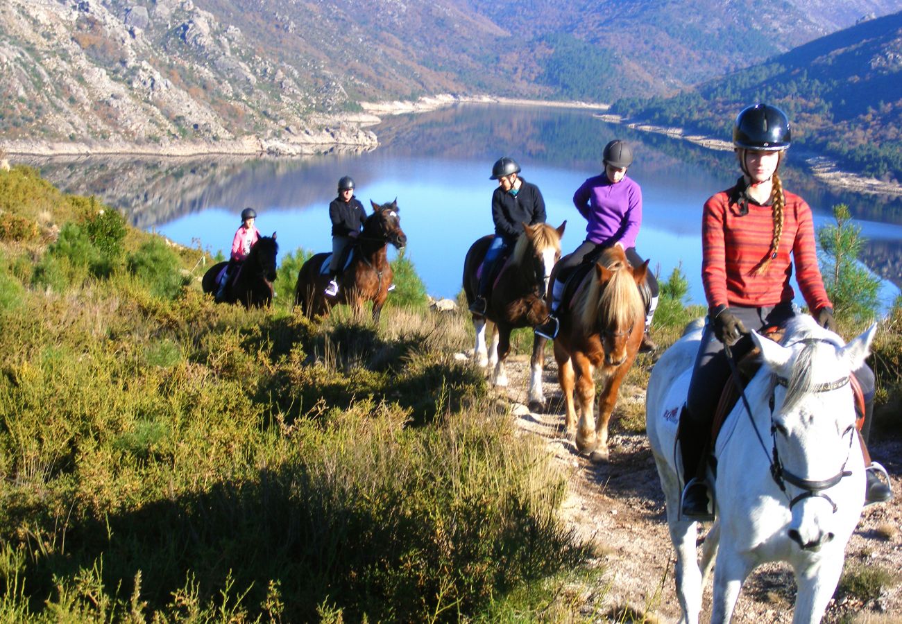 Chambres d'hôtes à Gerês - Suite - Encostas da Torre