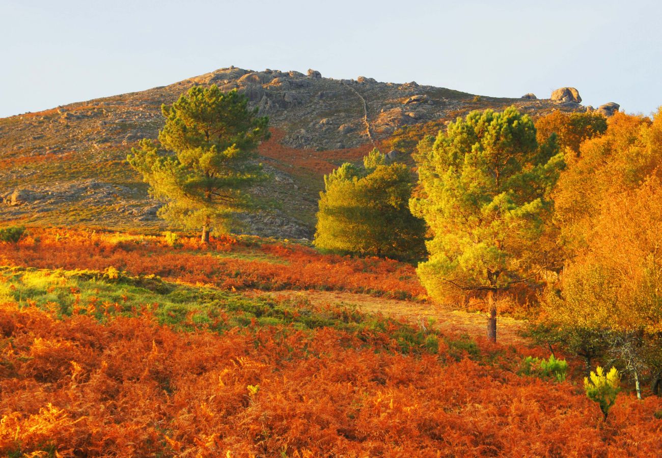 Chambres d'hôtes à Gerês - Quarto Duplo - Encostas da Torre