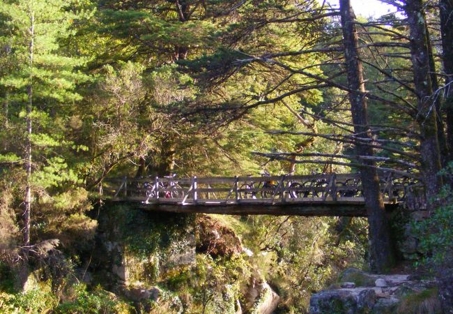 Gîte Rural à Terras de Bouro - Casa da Mota Gîte Rural à Terras de Bouro - Casa da Mota