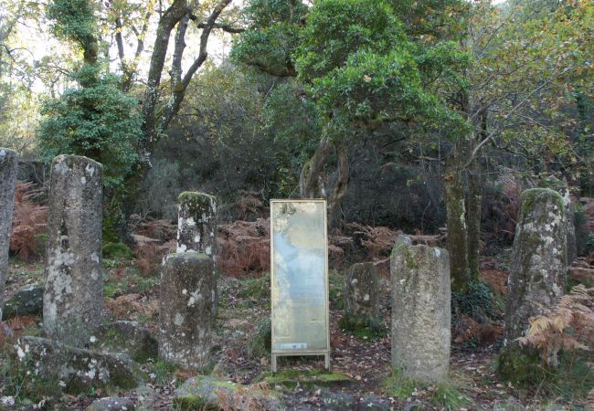 Gîte Rural à Terras de Bouro - Casa da Mota Gîte Rural à Terras de Bouro - Casa da Mota