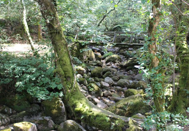 Gîte Rural à Terras de Bouro - Casa da Mota Gîte Rural à Terras de Bouro - Casa da Mota