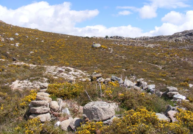 Gîte Rural à Terras de Bouro - Casa da Mota Gîte Rural à Terras de Bouro - Casa da Mota