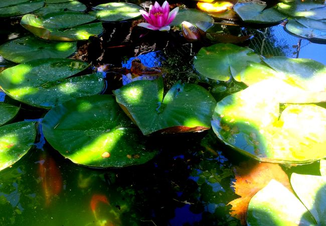Maison à Arcos de Valdevez - Casa do Souto T1 - Quinta do Toural Maison à Arcos de Valdevez - Casa do Souto T1 - Quinta do Toural
