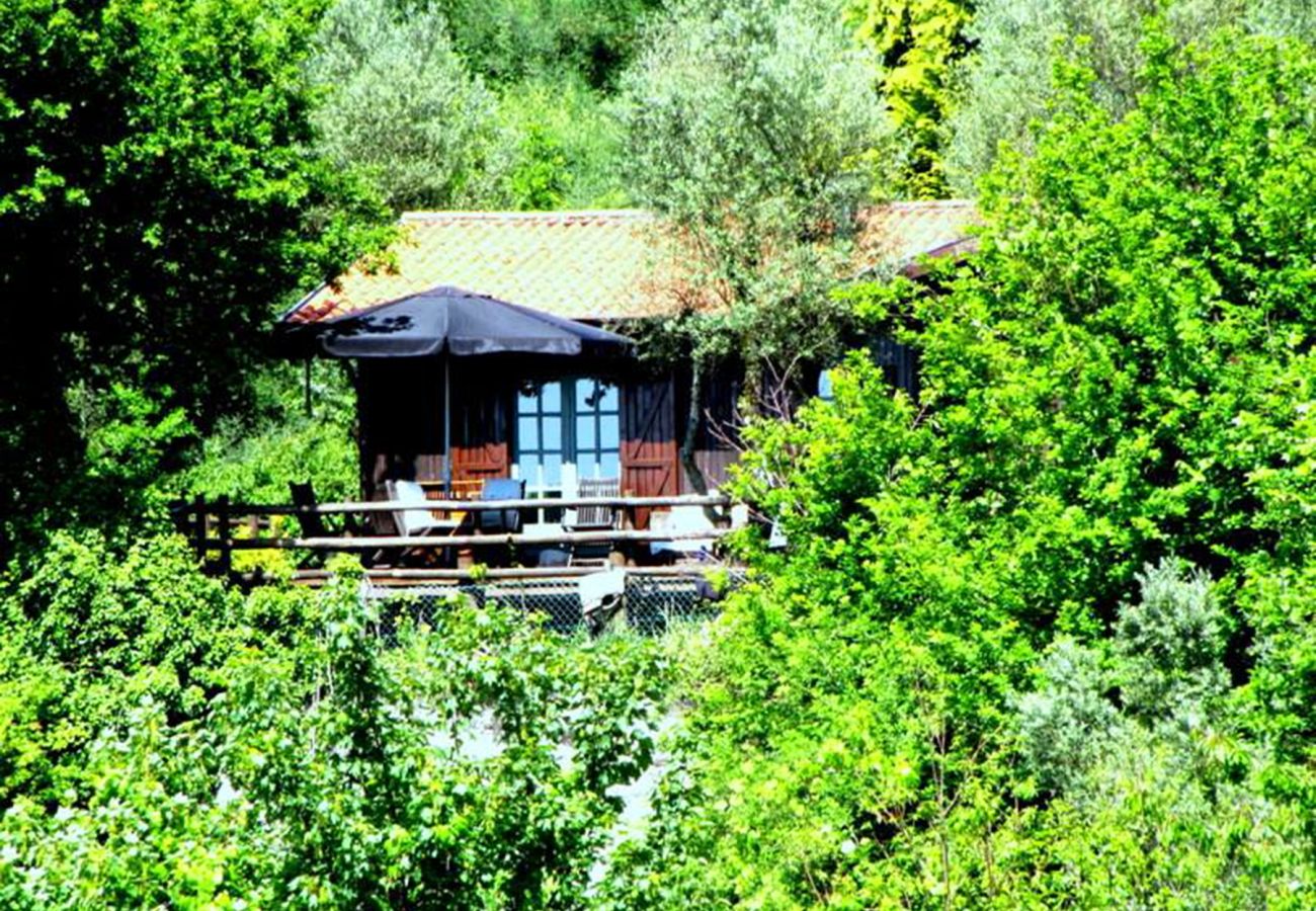 Gîte Rural à Vieira do Minho - Country House Gerês