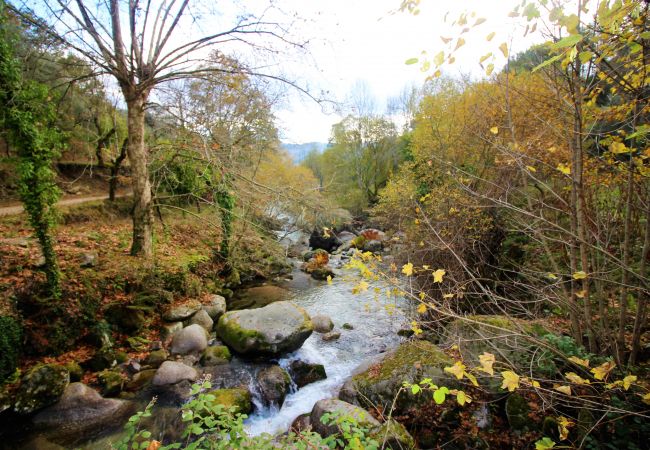 Chambres d'hôtes à Gerês - Quarto Duplo Deluxe - Quinta da Carvalha Chambres d'hôtes à Gerês - Quarto Duplo Deluxe - Quinta da Carvalha
