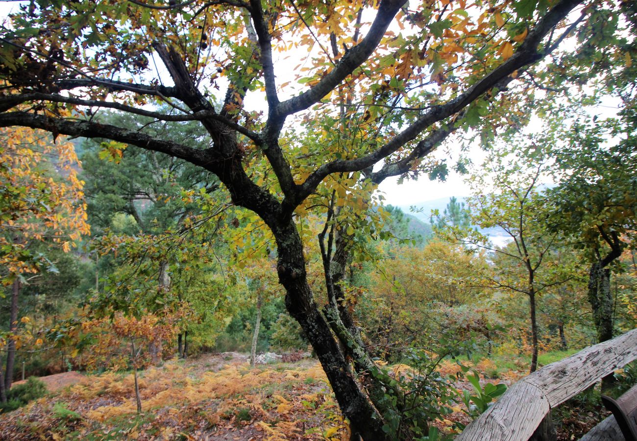 Bungalow à Gerês - Cabana T2 da Carvalha