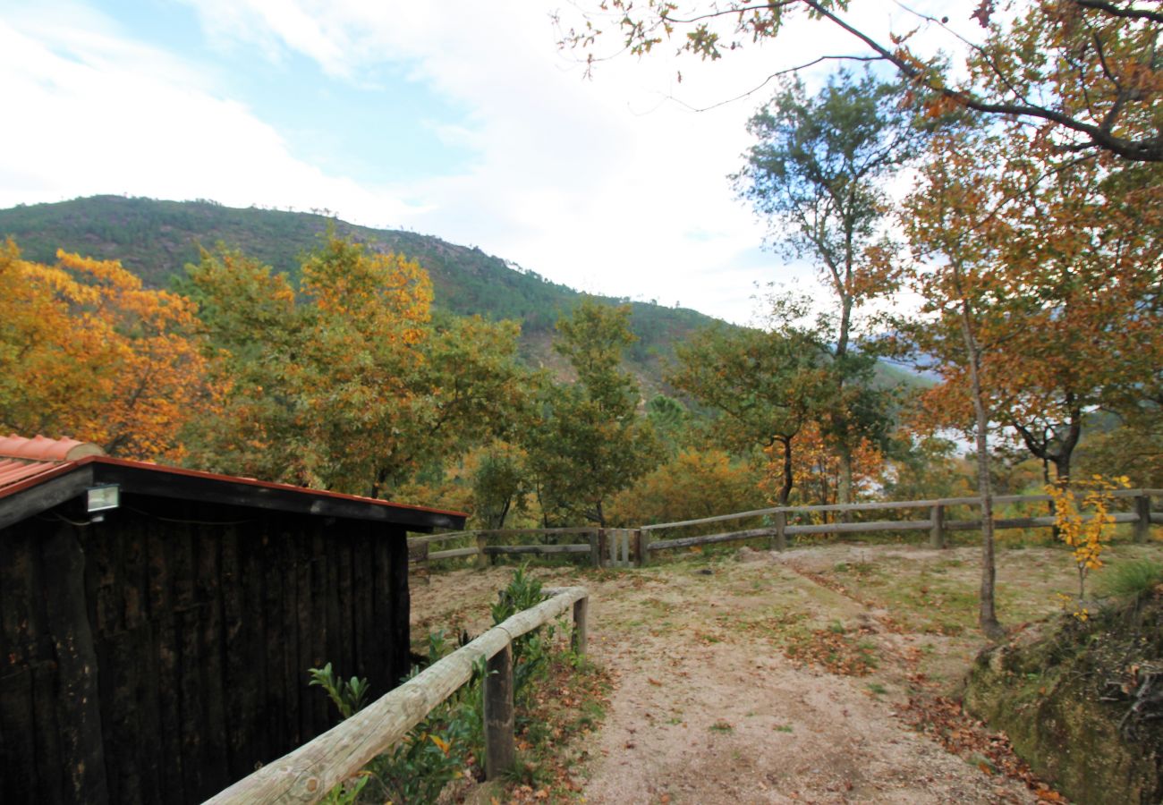 Bungalow à Gerês - Cabana T2 da Carvalha