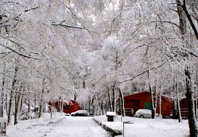 Bungalow à Lamas de Mouro - Bungalows da Peneda Bungalow à Lamas de Mouro - Bungalows da Peneda