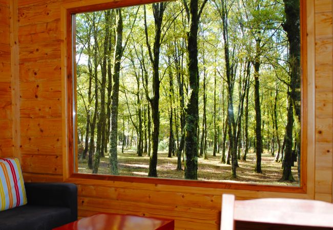 Bungalow à Lamas de Mouro - Bungalows da Peneda Bungalow à Lamas de Mouro - Bungalows da Peneda