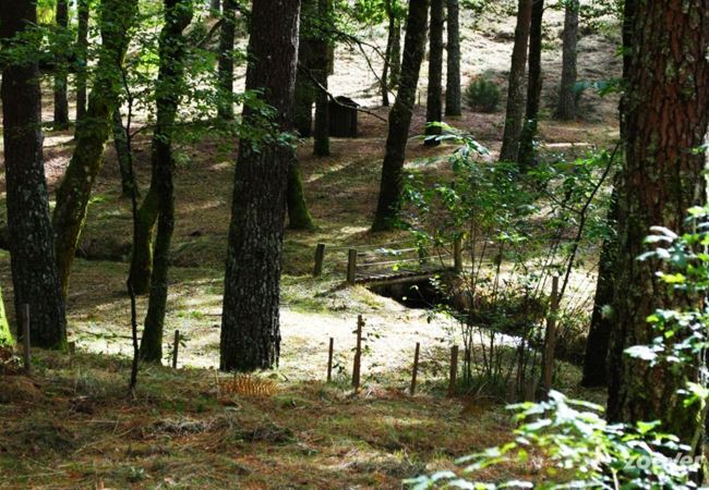 Bungalow à Lamas de Mouro - Bungalows da Peneda Bungalow à Lamas de Mouro - Bungalows da Peneda