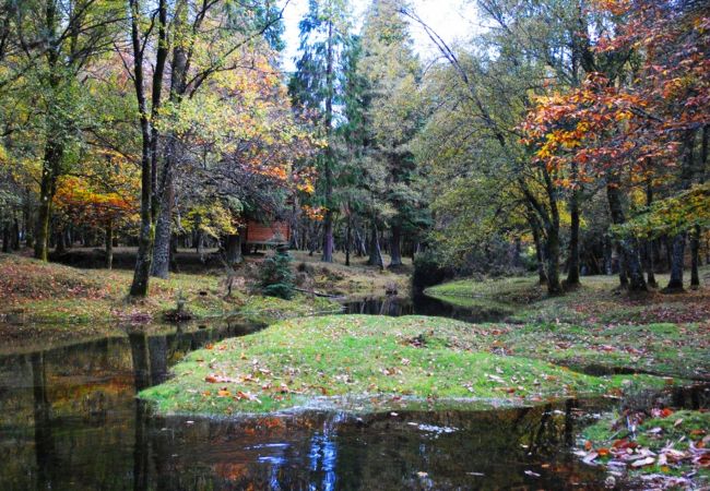 Bungalow à Lamas de Mouro - Bungalows da Peneda Bungalow à Lamas de Mouro - Bungalows da Peneda