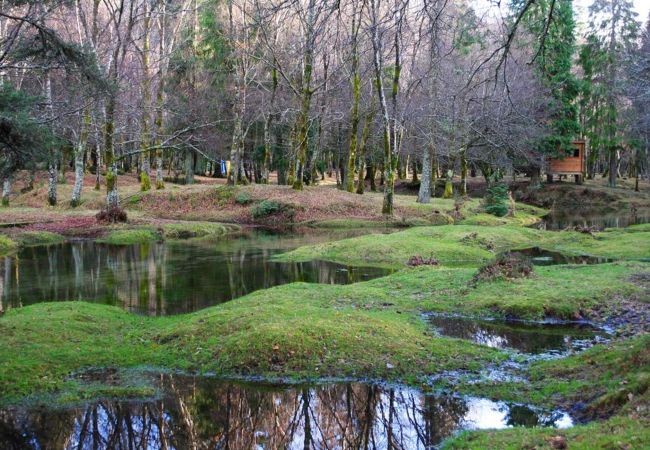 Bungalow à Lamas de Mouro - Bungalows da Peneda Bungalow à Lamas de Mouro - Bungalows da Peneda