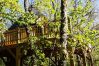 Bungalow à Montalegre - Bungalow Casa na Árvore - Nomad Planet Bungalow à Montalegre - Bungalow Casa na Árvore - Nomad Planet
