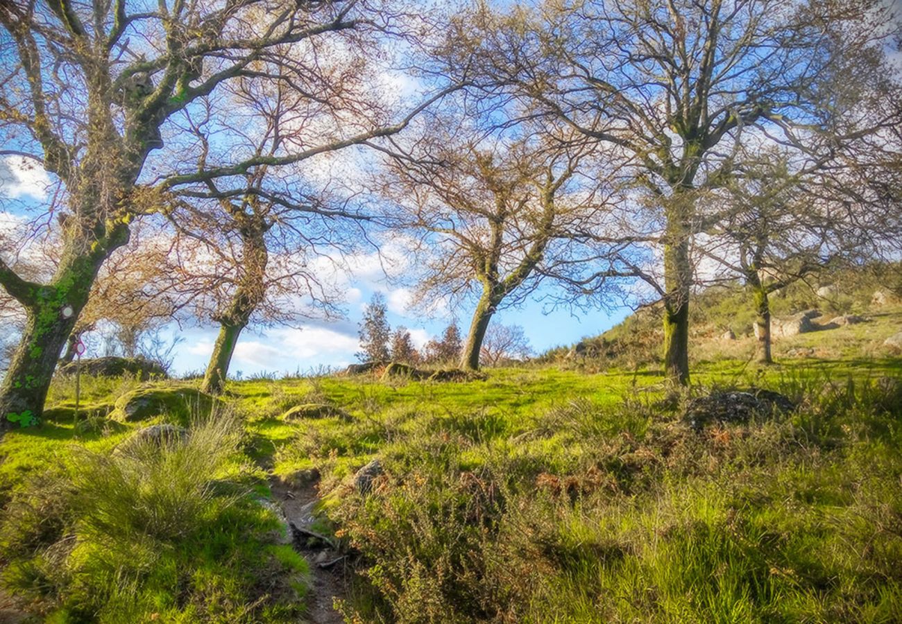 Gîte Rural à Vila Verde - Casa da Nóbrega