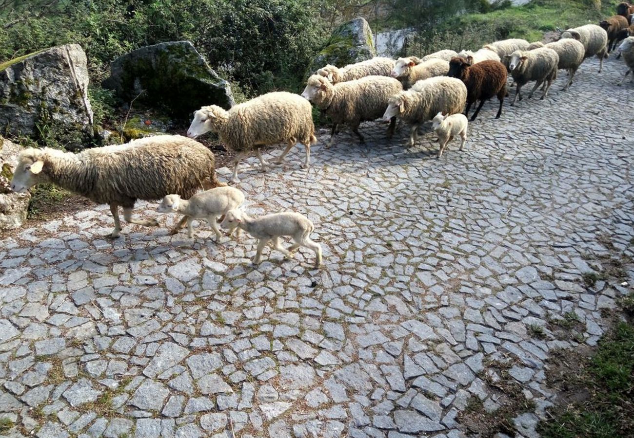 Gîte Rural à Vila Verde - Casa da Nóbrega