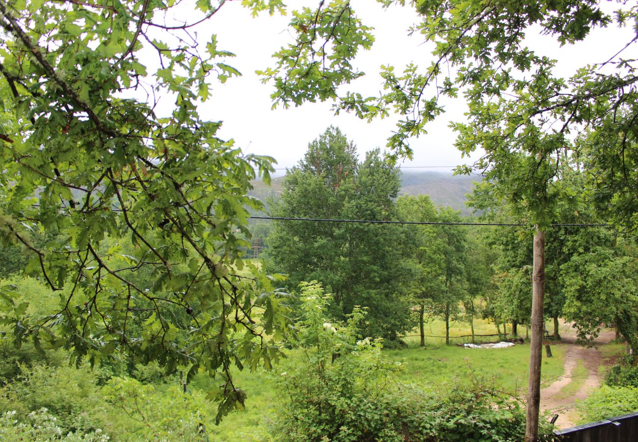 Bungalow à Campo do Gerês - Bungalow Miguel - Casa da Árvore