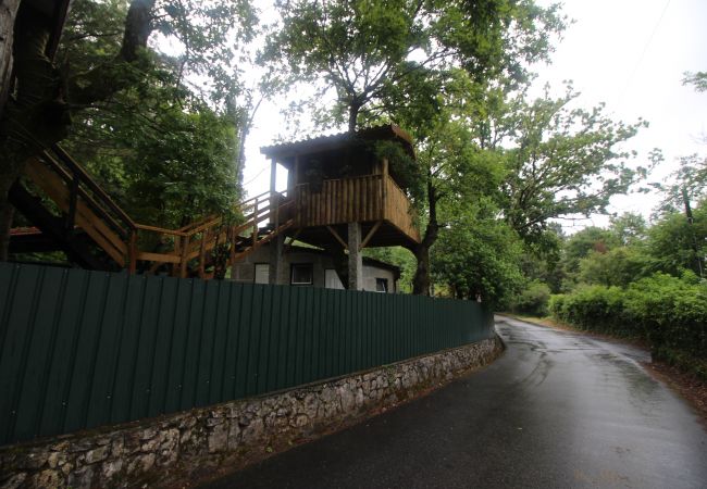 Bungalow à Campo do Gerês - Bungalow Gabriel - Casa da Árvore