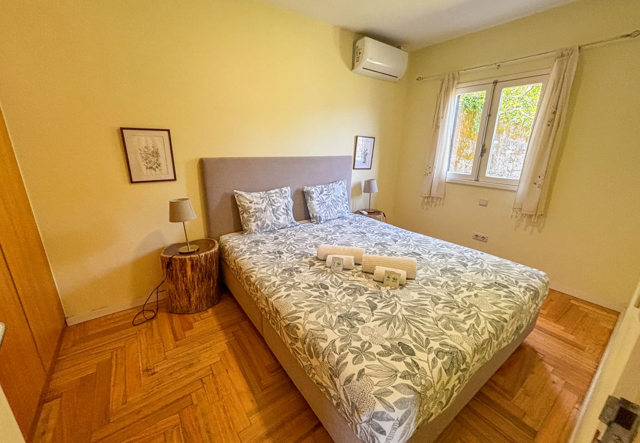 Villa à Vieira do Minho - Casa da Quintã