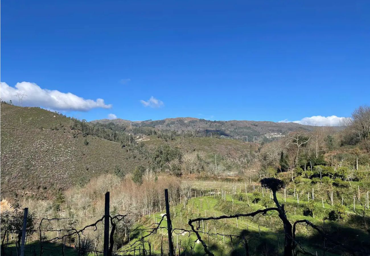 Gîte Rural à Terras de Bouro - Casa da Garrafeira - Quinta da Portela