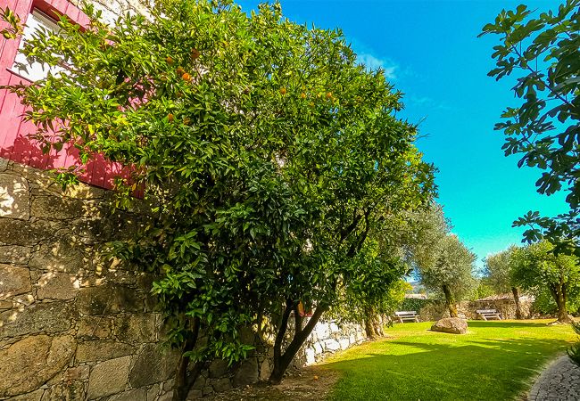 Maison à Amares - Casa BEL - Quinta dos Ferrage Maison à Amares - Casa BEL - Quinta dos Ferrage