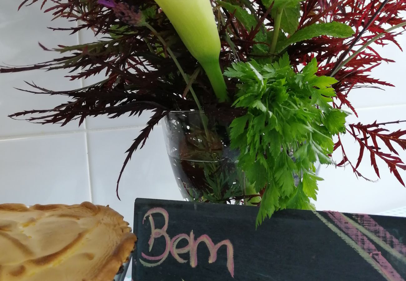 Gîte Rural à Gerês - Tea House Gerês