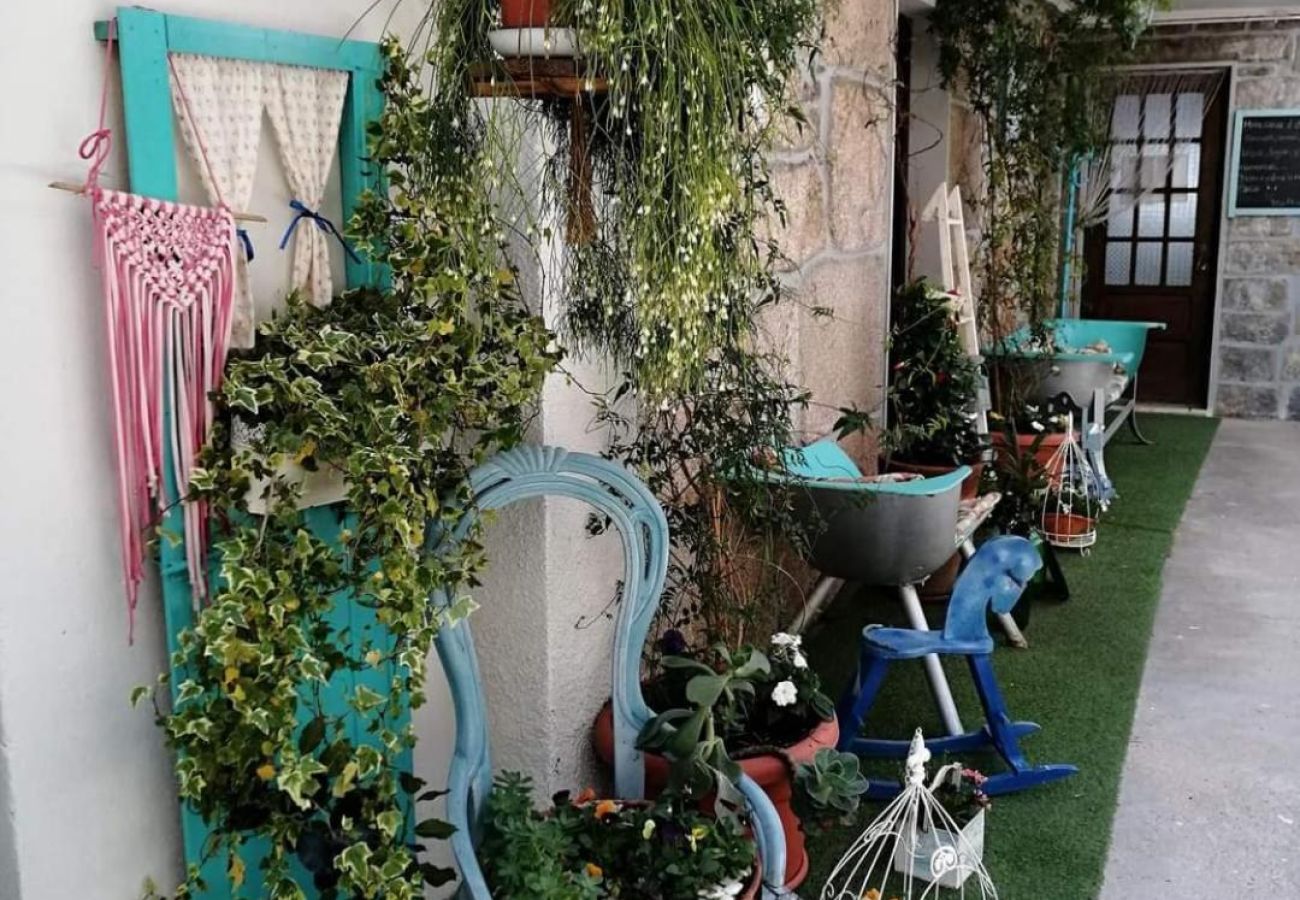 Gîte Rural à Gerês - Tea House Gerês Hipericão